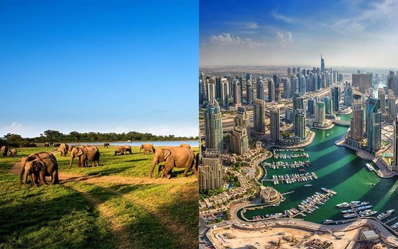 Private Tour of Sri Lanka with Beach Stay & Optional Dubai