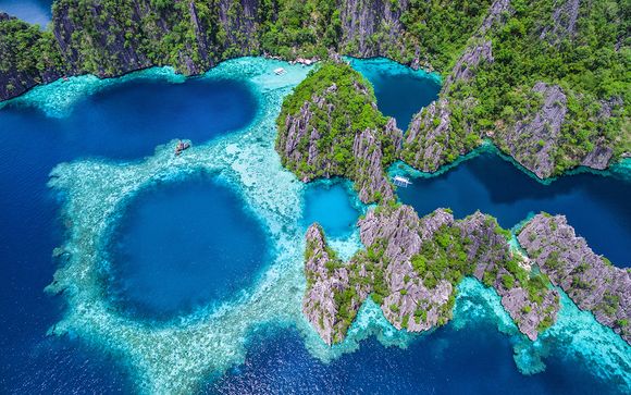 Discover the Natural Beauty of the Palawan Archipelago