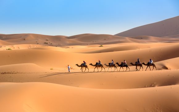 Montagne e deserti maestosi con giro in cammello e visita di due Kasbah