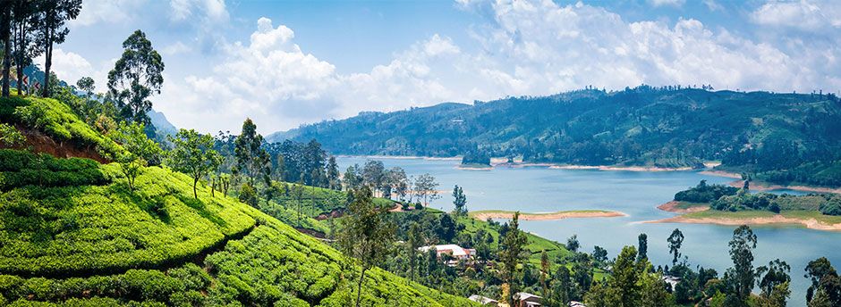 Urlaub in Sri Lanka