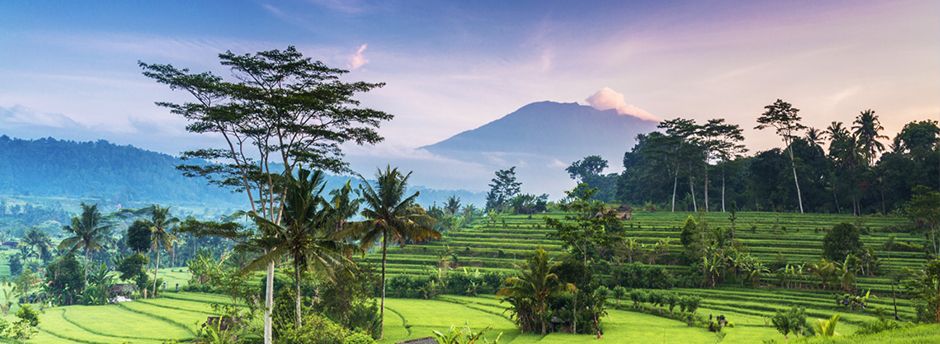 Top Ofertas a Bali