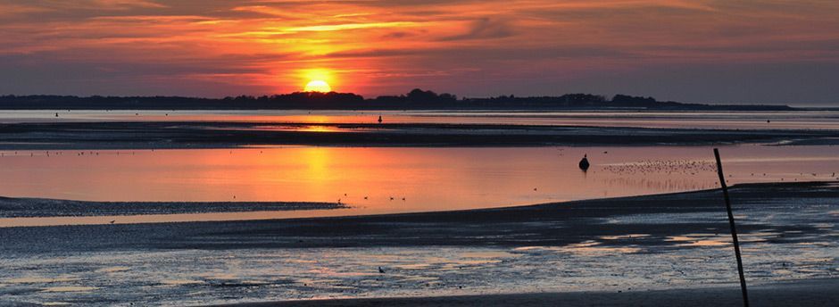 Évadez-vous en Baie de Somme, la destination phare pour un week-end d’exception. Découvrez à l’aide de notre guide de voyage, 5 activités incontournables ainsi que divers conseils pratiques pour vivre un séjour à la fois riche et inoubliable