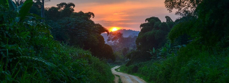 Voyage en République Démocratique du Congo