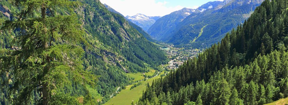 Offerte last minute per Circle Hot Springs