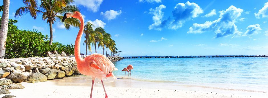 Vacanze ad Aruba