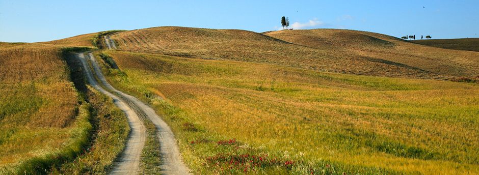 Offerte last minute per Castel del Piano