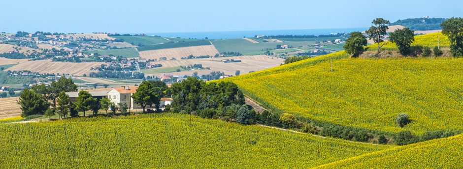 Vacanze a Urbino