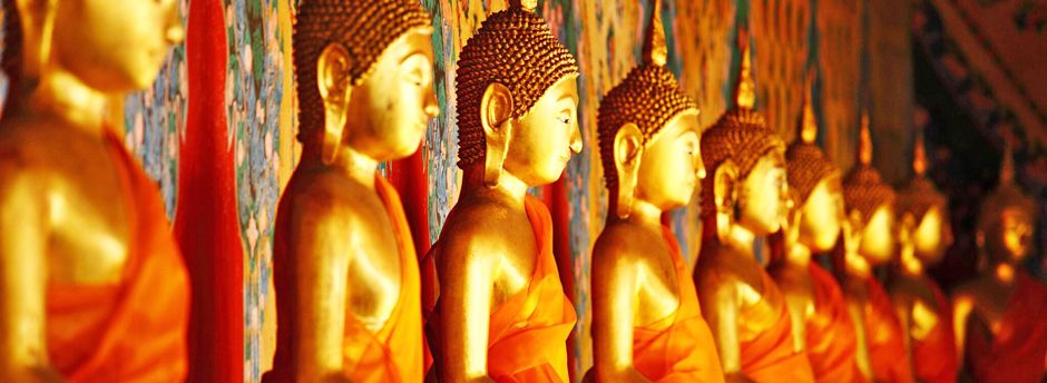 Le tue meravigliose vacanze in famiglia in Sri Lanka