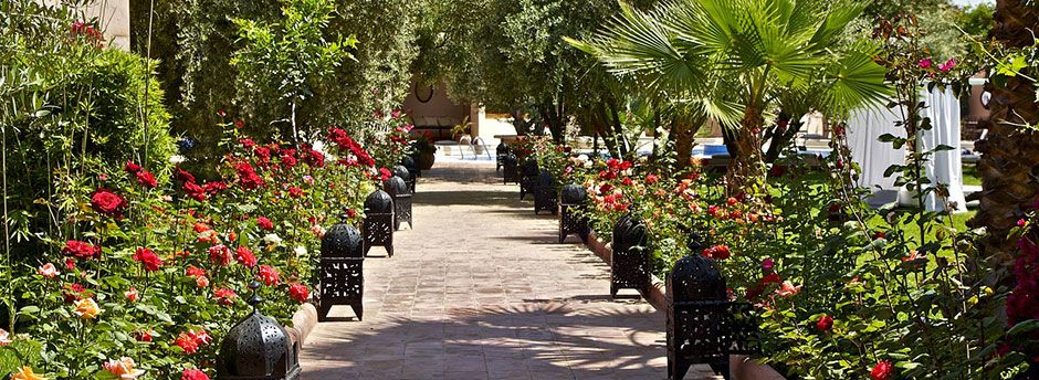Sun holidays in Morocco