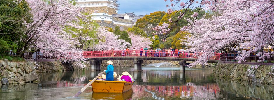 Cruises Japan